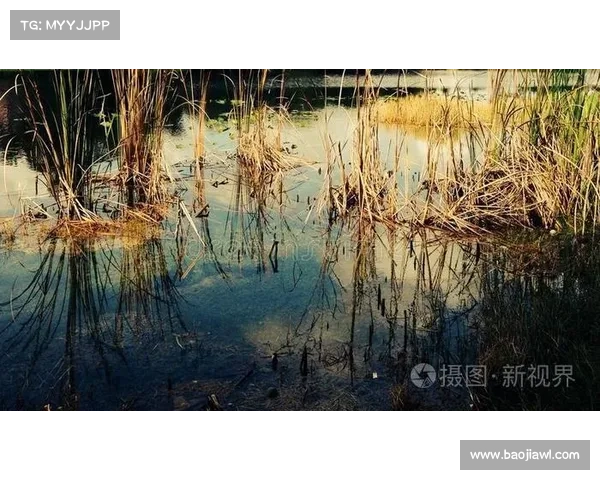 沼光湖幽怨的源起与传说揭示了古老湖泊背后的悲凉故事 沼光湖幽怨的源起与传说揭示了古老湖泊背后的悲凉故事